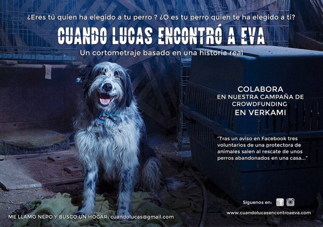 13227037_1057245844347744_9045443451781908584_n